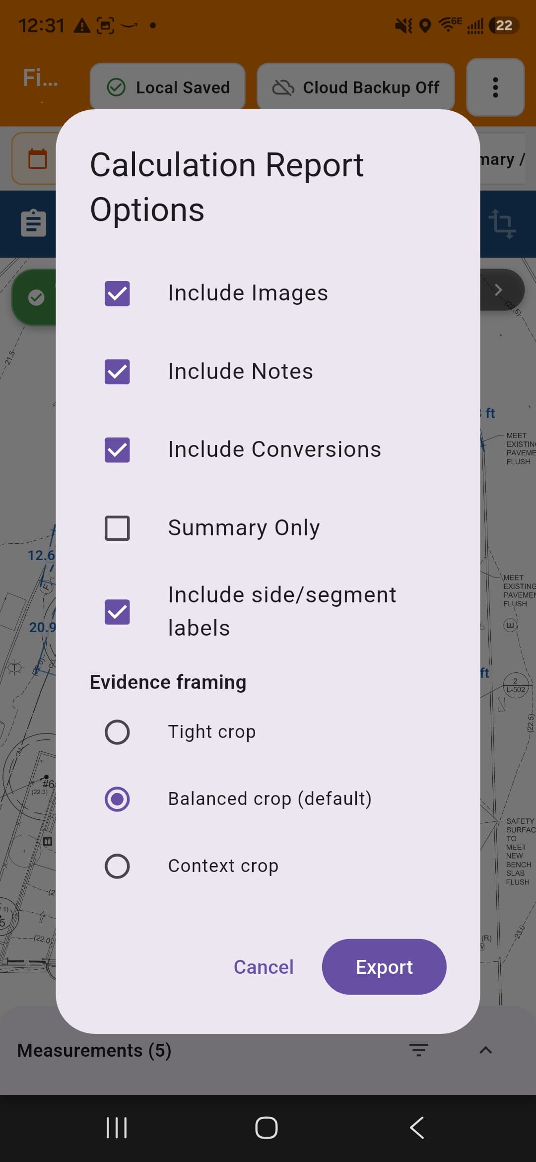 Report options